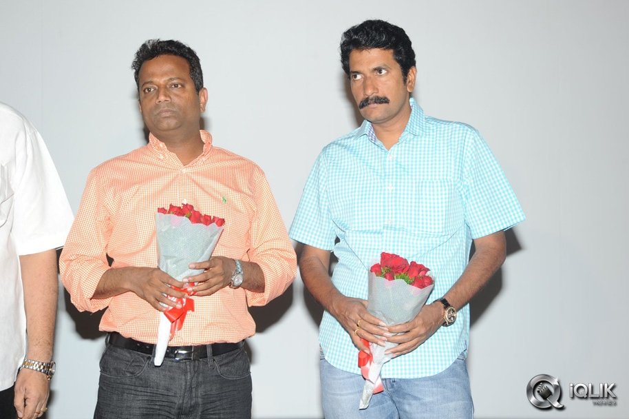 Cut-Chesthe-Movie-Audio-Launch